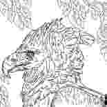 harpy eagle coloring page amazing animal harpy eagle coloring pages amazing animal harpy coloring eagle page 
