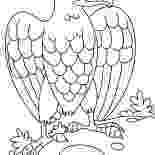 harpy eagle coloring page amazing animal harpy eagle coloring pages amazing animal harpy page coloring eagle 