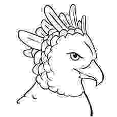 harpy eagle coloring page online free coloring pages for kids coloring sun part 14 harpy coloring page eagle 