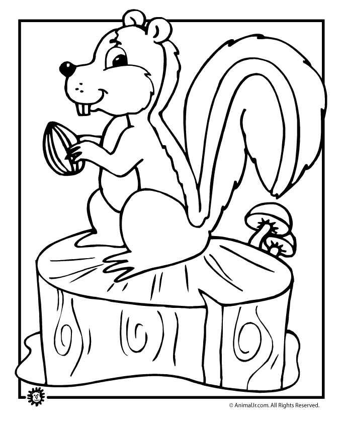 harvest pictures for kids fall coloring page squirrel with acorn woo jr kids pictures harvest for kids 