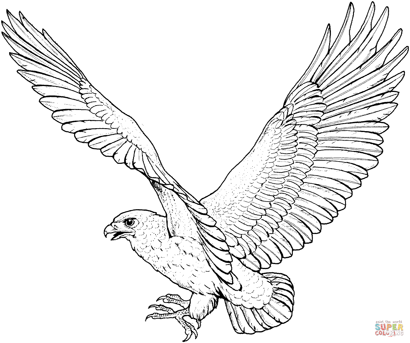hawk coloring hawk coloring pages to download and print for free coloring hawk 