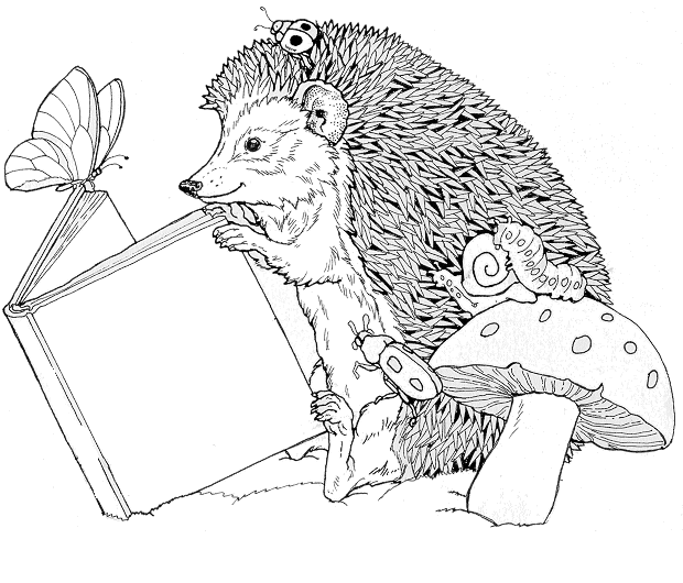 hedgehog coloring page hedgehog coloring page free printable coloring pages page hedgehog coloring 