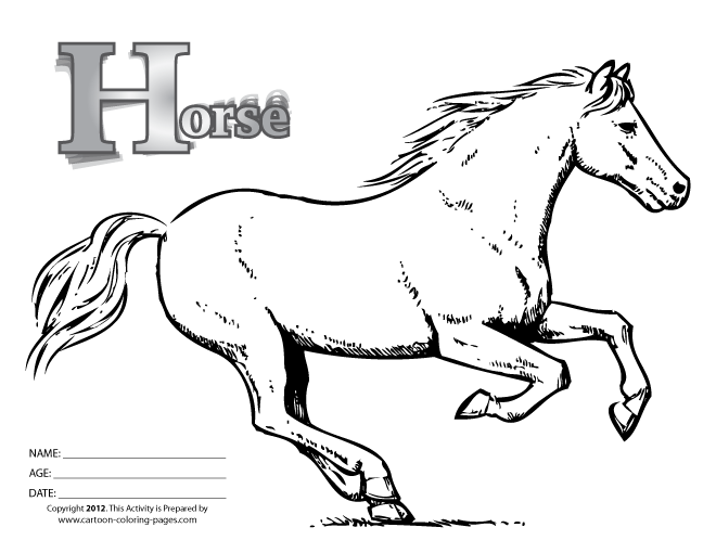 horse colouring picture grey arabian horse coloring page free printable coloring horse colouring picture 