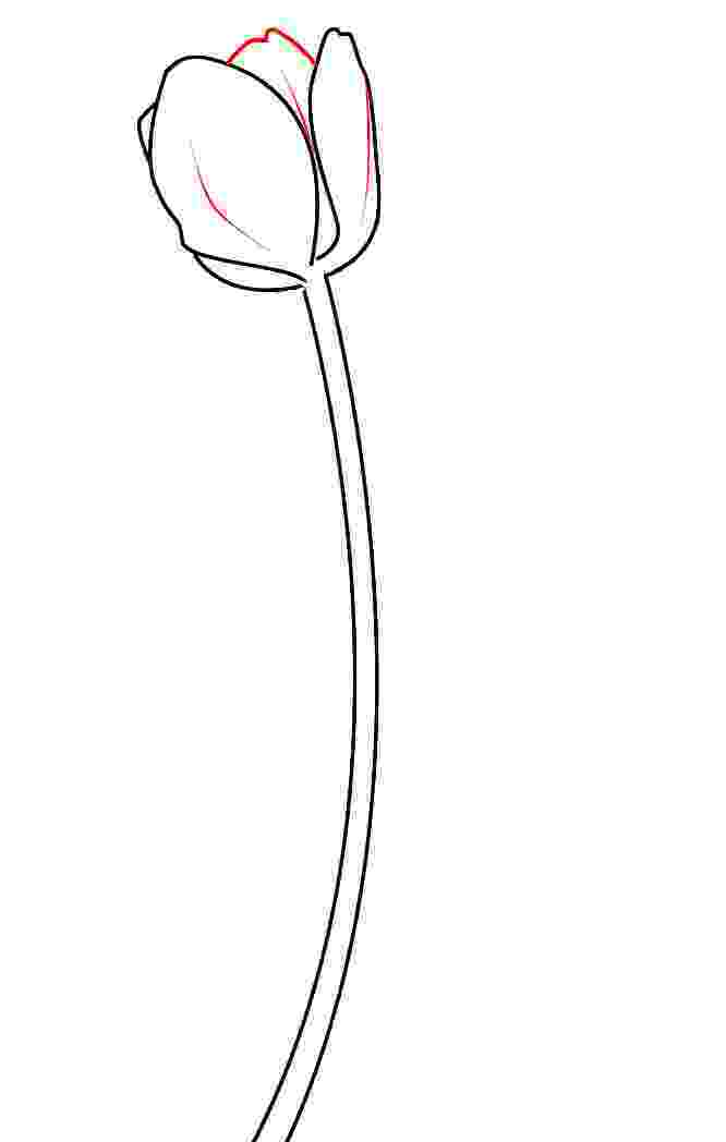 how to sketch a tulip easy tulip drawing step by step easydrawingtips how tulip a to sketch 