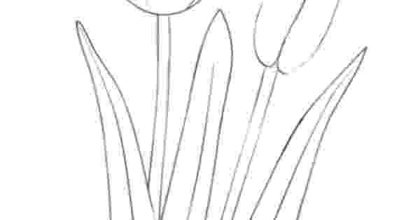 how to sketch a tulip how to draw a tulip for beginners best drawing tutorial a how tulip to sketch 