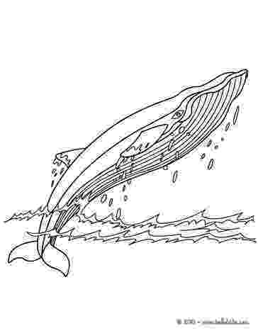 humpback whale pictures to color right whale and humpback whale in the ocean super pictures to color humpback whale 