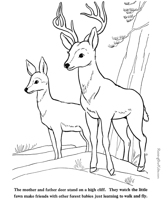 hunting coloring pictures hunting coloring pages coloringpagesabccom coloring pictures hunting 