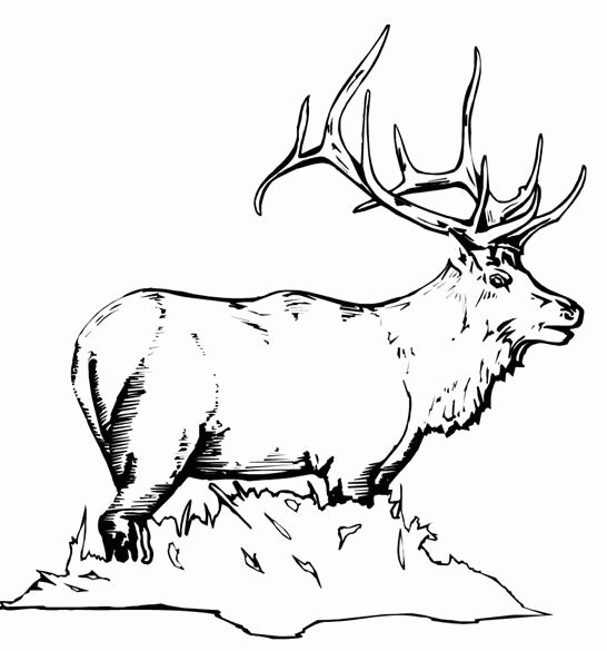 hunting coloring pictures hunting coloring pages coloringpagesabccom pictures hunting coloring 