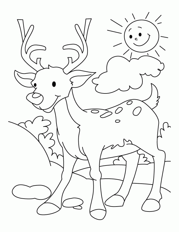 hunting coloring sheets 1000 images about preschool coloring pages on pinterest sheets hunting coloring 