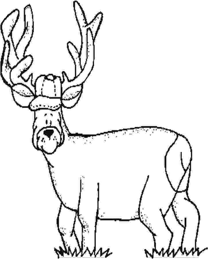 hunting coloring sheets hide between grass when duck hunting coloring pages hunting coloring sheets 