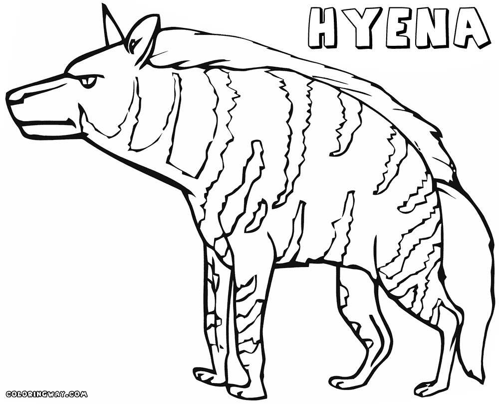 hyena coloring pages hyena coloring pages getcoloringpagescom pages hyena coloring 