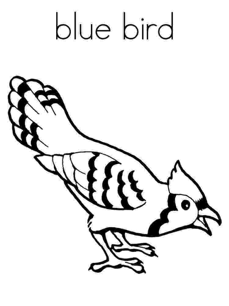 images of birds for colouring bird10 coloring kids birds images of for colouring 