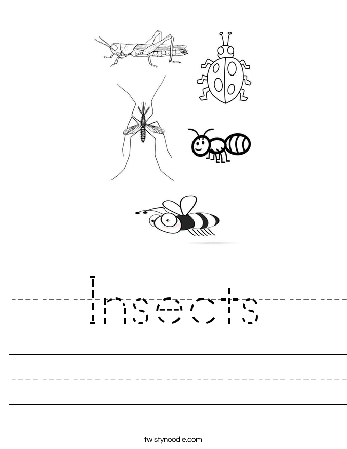 insect coloring pages preschool insects worksheet twisty noodle pages insect coloring preschool 