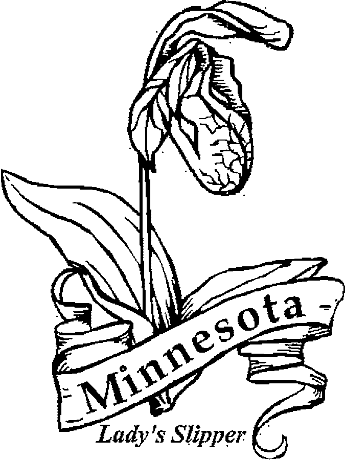 iowa state flower 50 state flowers coloring pages for kids iowa state flower 