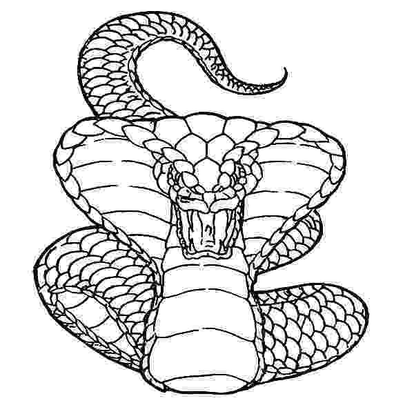 king cobra coloring pages king cobra snake coloring pages download and print for free king cobra pages coloring 