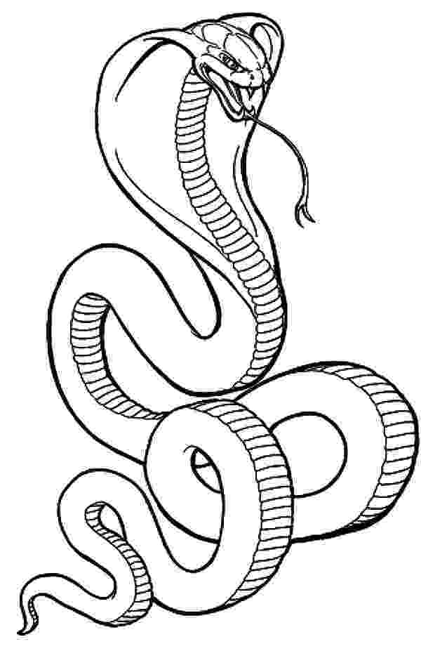 king cobra coloring pages king cobra snake coloring pages download and print for free pages cobra coloring king 1 1