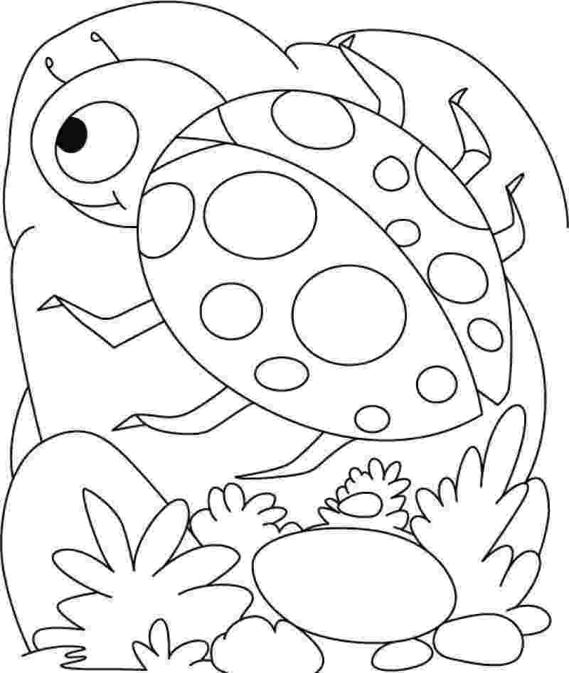 lady bug coloring pages l is for lady bug coloring page free l is for lady bug bug pages lady coloring 