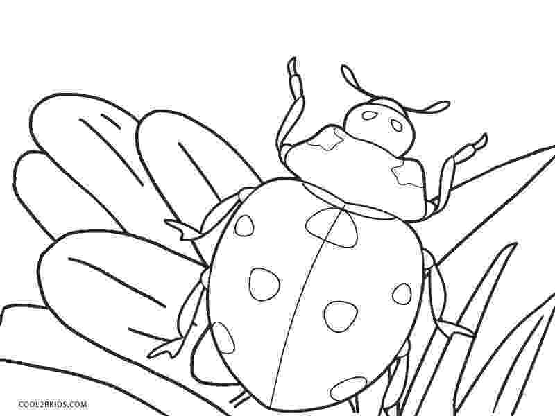 ladybug coloring sheet ladybug coloring pages to print coloring sheets coloring sheet ladybug 