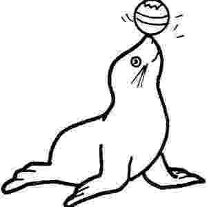 leopard seal coloring pages leopard seal coloring page coloring sky seal coloring leopard pages 