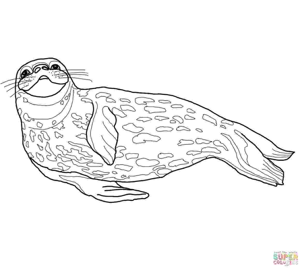 leopard seal coloring pages leopard seal coloring page free printable coloring pages leopard seal coloring pages 