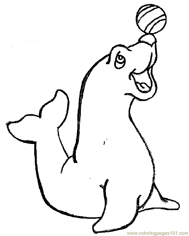 leopard seal coloring pages leopard seal coloring pages at getcoloringscom free seal leopard coloring pages 