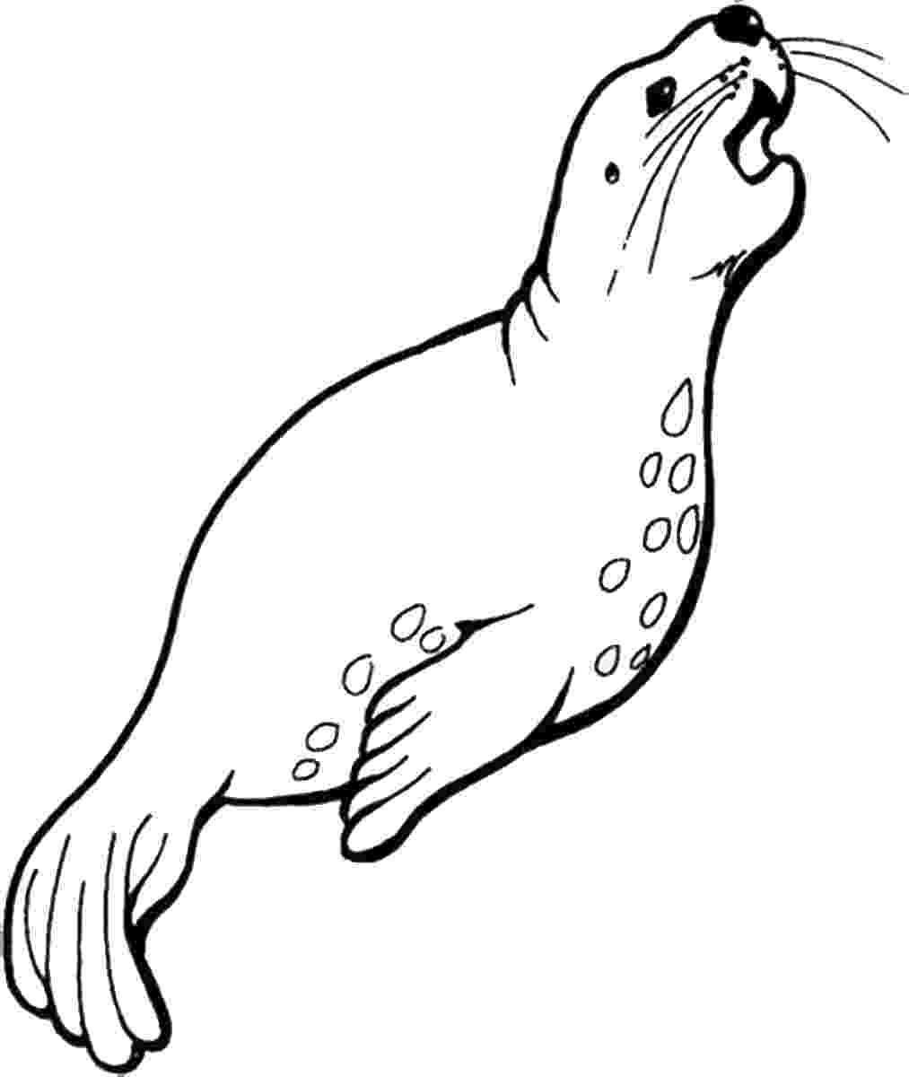 leopard seal coloring pages leopard seal coloring pages download and print for free leopard seal coloring pages 