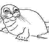leopard seal coloring pages leopard seal coloring pages download and print for free pages leopard seal coloring 