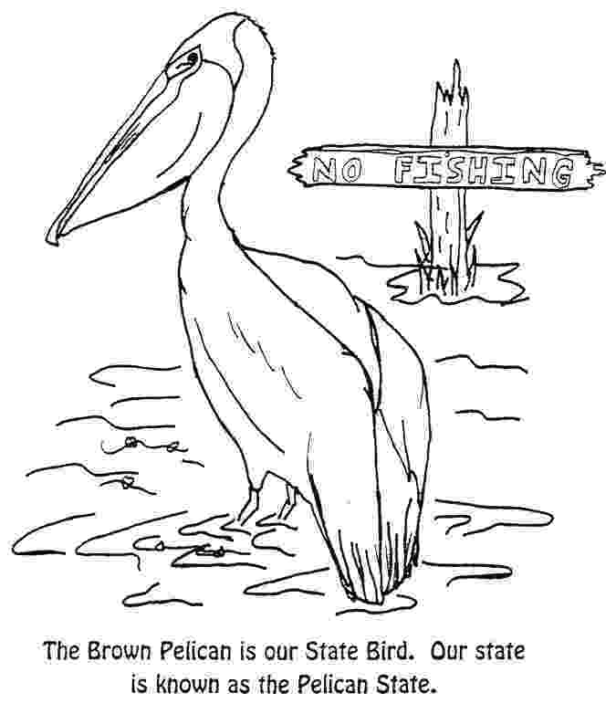 louisiana state symbols coloring pages louisiana state flower coloring page free printable louisiana state pages symbols coloring 