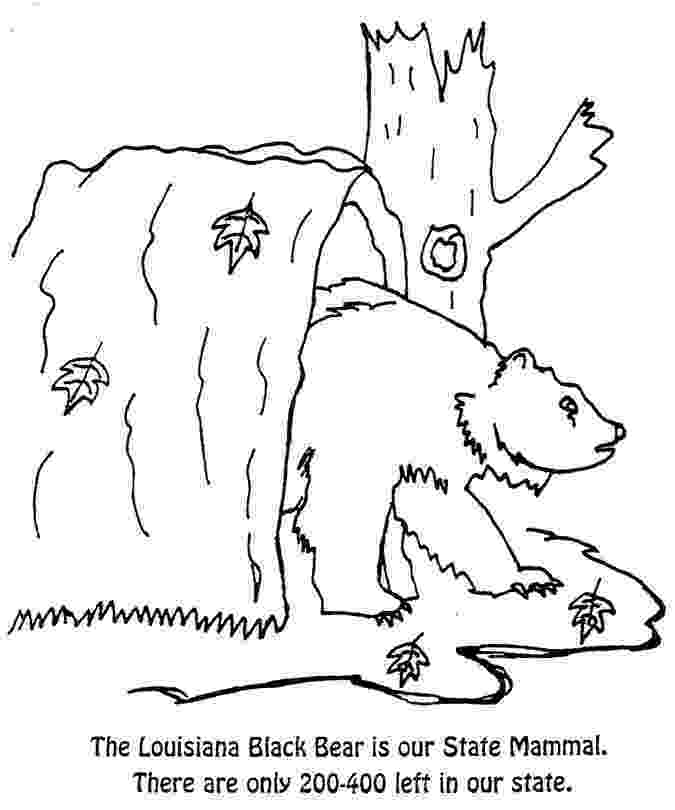 louisiana state symbols coloring pages the louisiana booklet state symbols coloring louisiana pages 