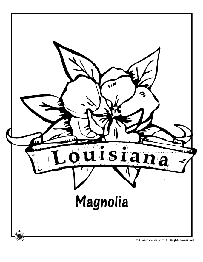 louisiana state symbols coloring pages the louisiana booklet symbols state pages louisiana coloring 