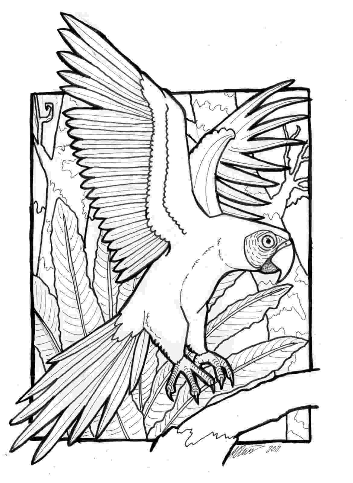macaw coloring pages flying macaw coloring page free printable coloring pages macaw coloring pages 