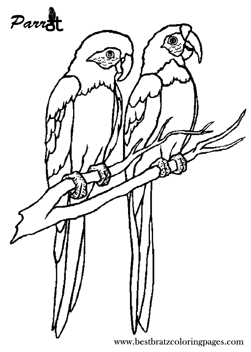 macaw coloring pages free printable parrot coloring pages for kids coloring pages macaw 