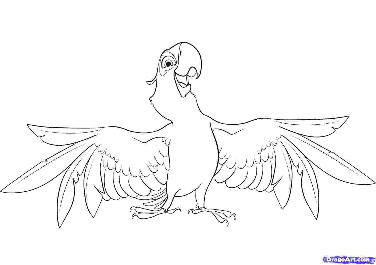macaw coloring pages free printable parrot coloring pages for kids pages macaw coloring 