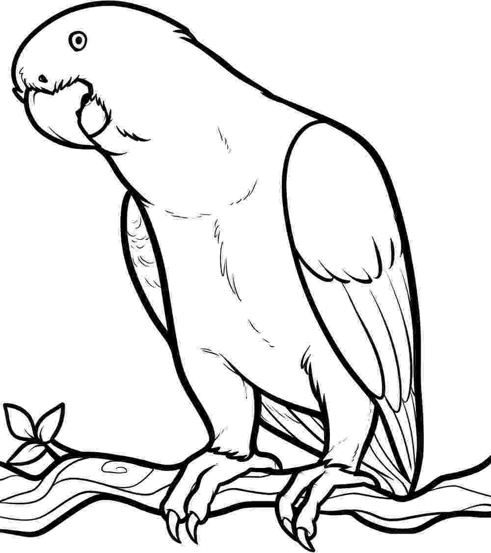 macaw coloring pages macaw coloring pages download and print macaw coloring pages macaw pages coloring 