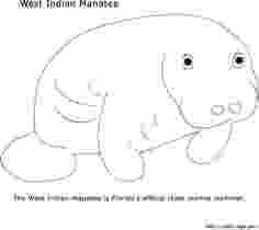 manatee pictures to print free manatee coloring pages get coloring pages pictures to print manatee 