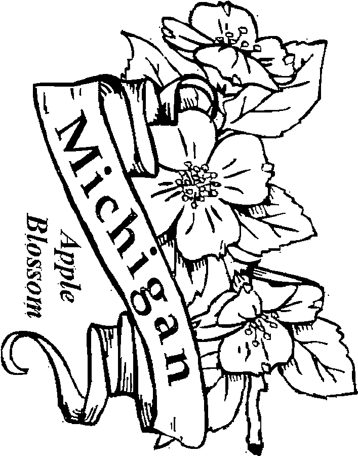 michigan state flag coloring page flag of michigan coloring page free printable coloring pages michigan flag page coloring state 