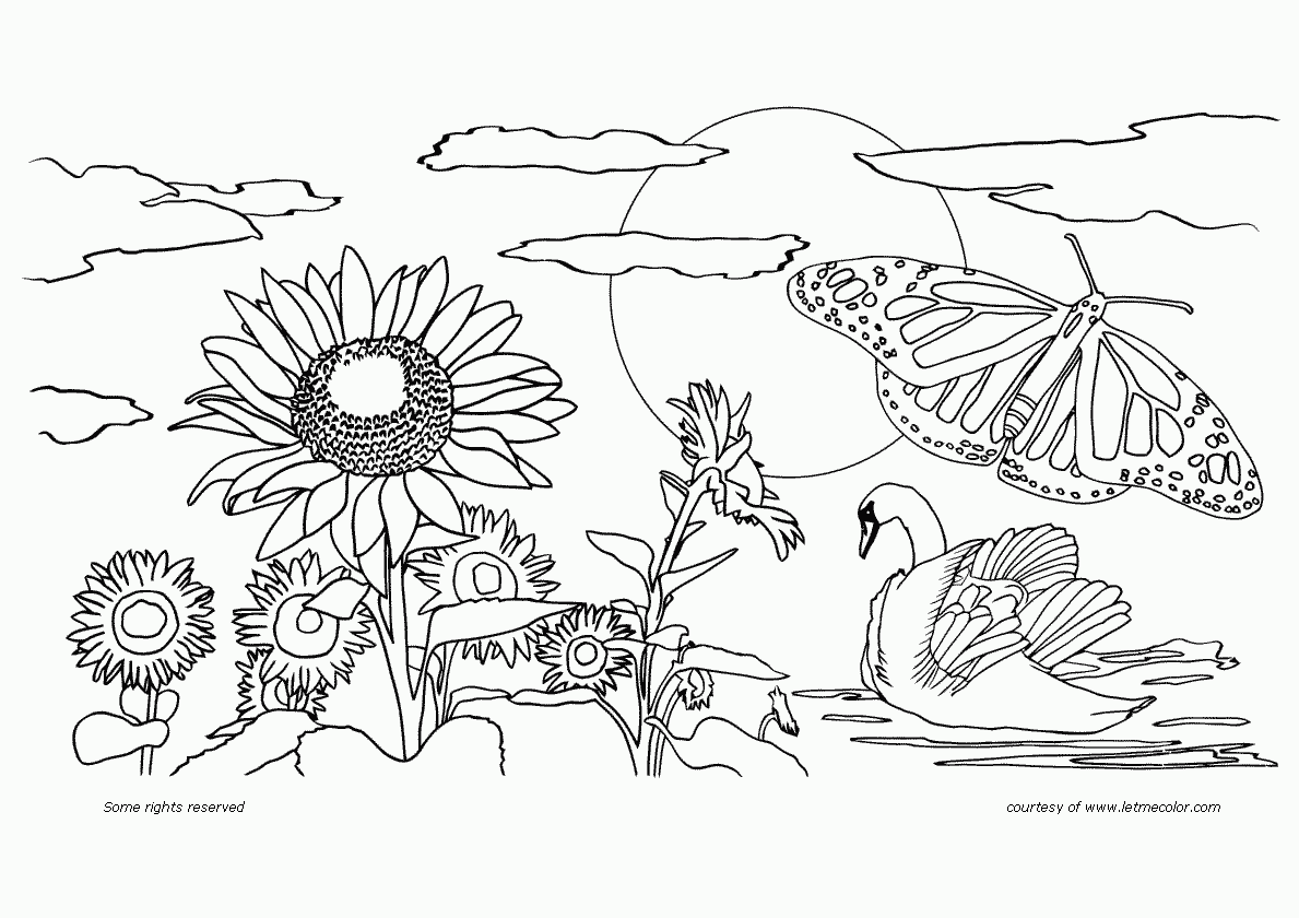 nature colouring pictures free printable nature coloring pages for kids best nature colouring pictures 