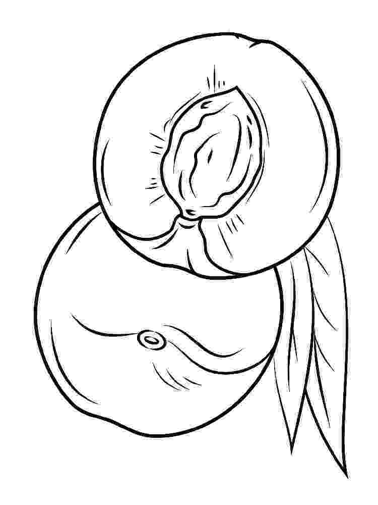 nectarine color nectarine coloring pages download and print nectarine color nectarine 