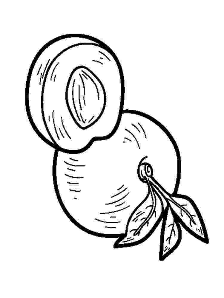 nectarine color nectarine coloring pages download and print nectarine color nectarine 1 1
