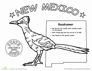 new mexico state bird roadrunner state bird of new mexico by georgann micono new mexico bird state 