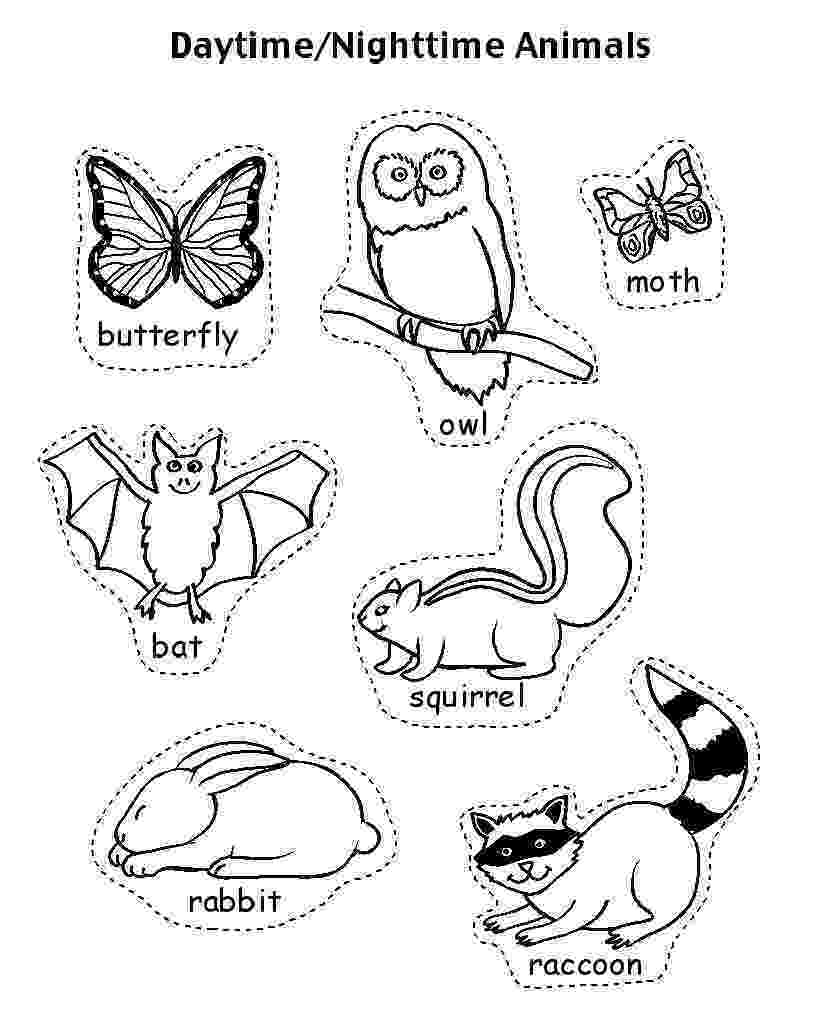 nocturnal animal colouring sheets childhood education nocturnal animals coloring pages free animal nocturnal colouring sheets 