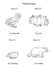 nocturnal animal colouring sheets childhood education nocturnal animals coloring pages free colouring animal sheets nocturnal 