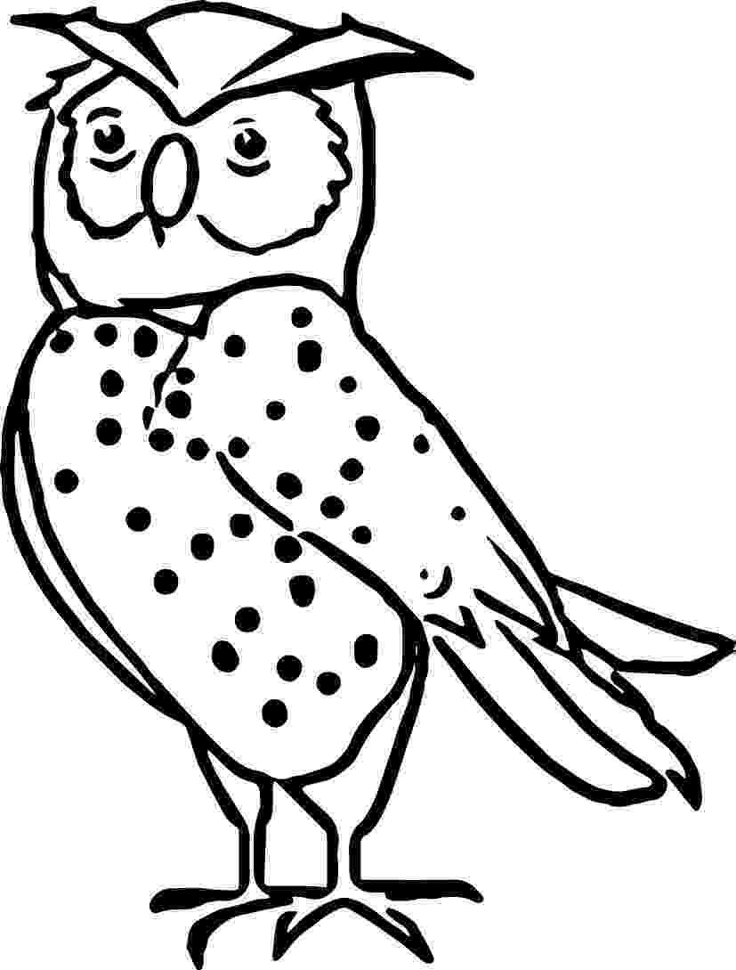 nocturnal animal colouring sheets free pictures of nocturnal animals download free clip art nocturnal animal sheets colouring 