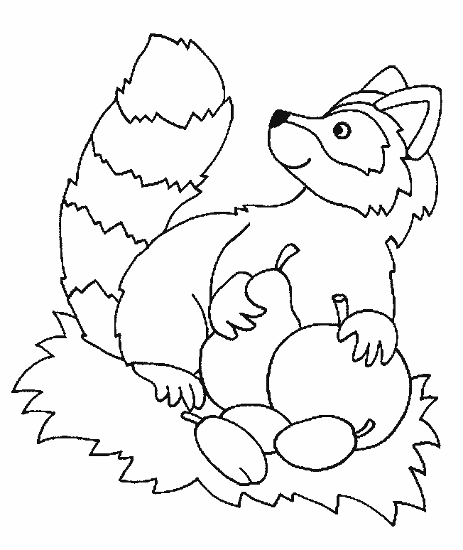 nocturnal animals coloring pages childhood education nocturnal animals coloring pages free nocturnal coloring animals pages 