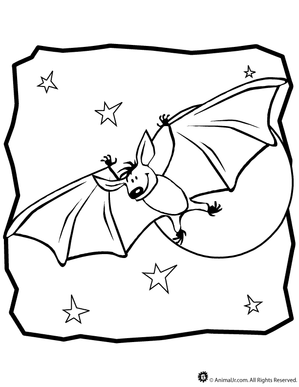 nocturnal animals coloring pages nocturnal animals coloring pages coloring home coloring animals nocturnal pages 
