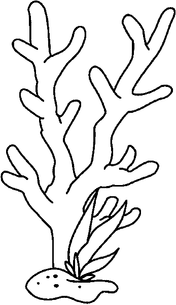 ocean plants coloring pages free printable coloring pages part 4 pages coloring plants ocean 