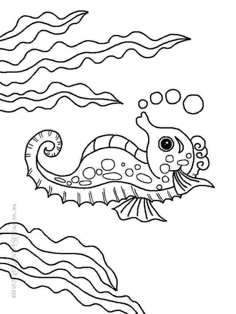 ocean plants coloring pages sea plants drawing at getdrawingscom free for personal coloring ocean plants pages 