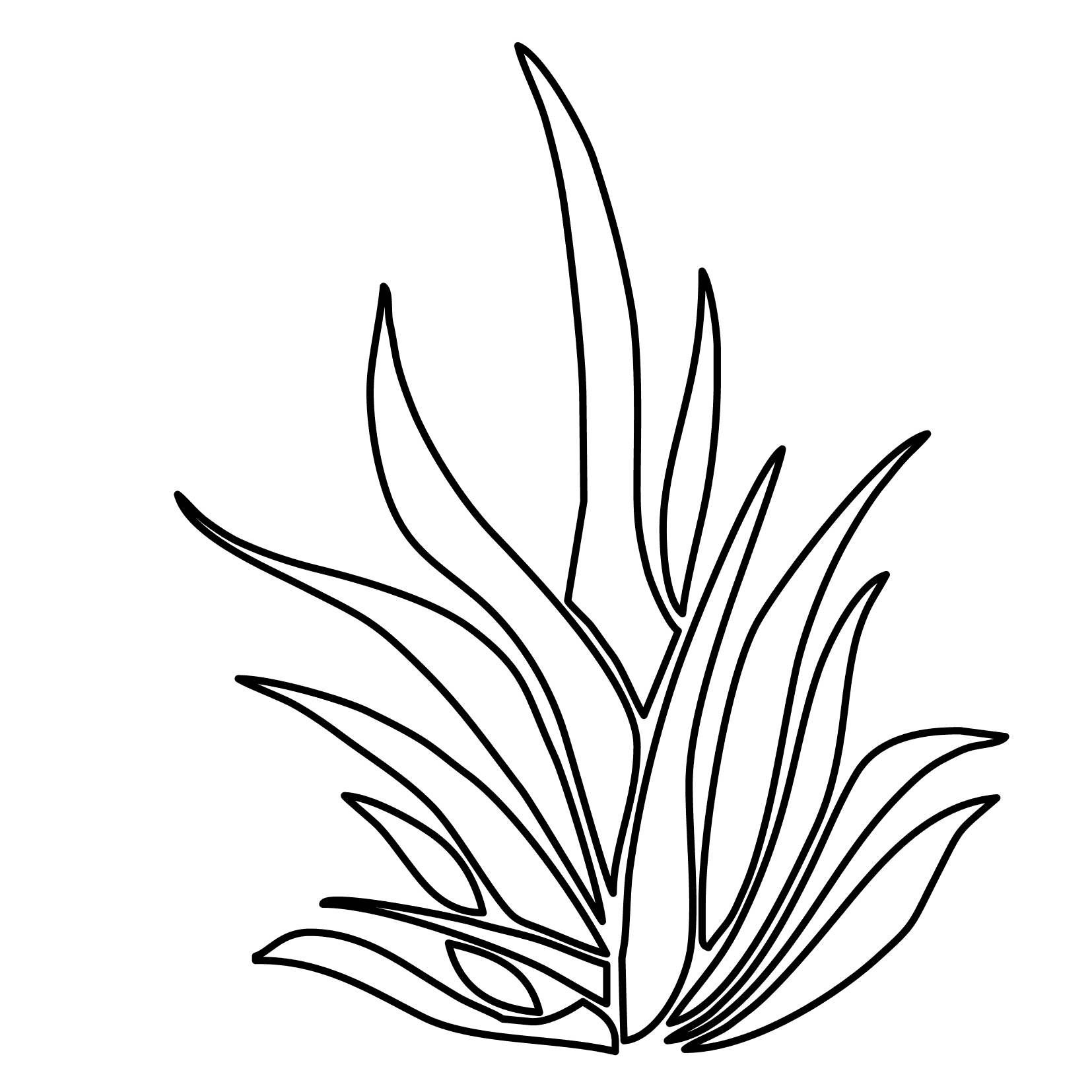 ocean plants coloring pages seaweed coloring pages for kids coloring pages sea coloring plants ocean pages 