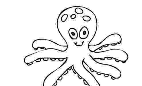 octopus coloring page preschool get this printable octopus coloring pages yzost preschool octopus coloring page 