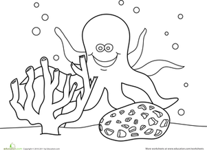 octopus coloring page preschool octopus worksheet educationcom coloring page octopus preschool 